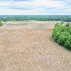 Photo of 29.15 Acres of Farm and Hunting Land for Sale in Columbus County NC!