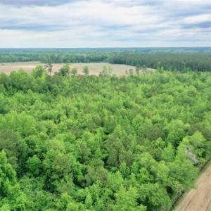 Photo of 29.15 Acres of Farm and Hunting Land for Sale in Columbus County NC!