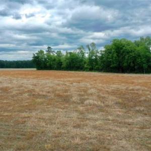 Photo of 29.15 Acres of Farm and Hunting Land for Sale in Columbus County NC!