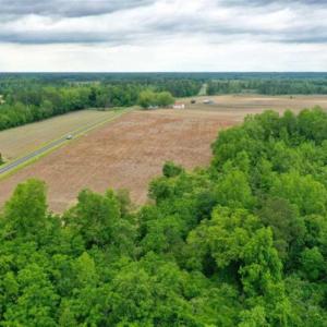 Photo of 29.15 Acres of Farm and Hunting Land for Sale in Columbus County NC!