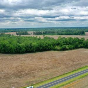 Photo of 29.15 Acres of Farm and Hunting Land for Sale in Columbus County NC!