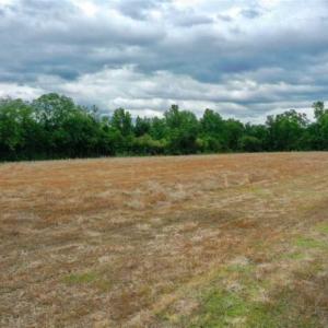 Photo of 29.15 Acres of Farm and Hunting Land for Sale in Columbus County NC!