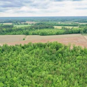 Photo of 29.15 Acres of Farm and Hunting Land for Sale in Columbus County NC!