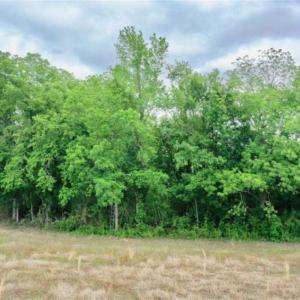 Photo of 29.15 Acres of Farm and Hunting Land for Sale in Columbus County NC!
