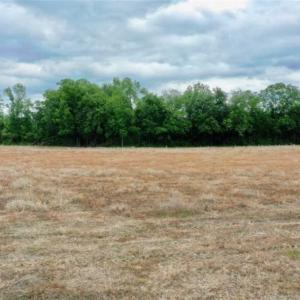 Photo of 29.15 Acres of Farm and Hunting Land for Sale in Columbus County NC!