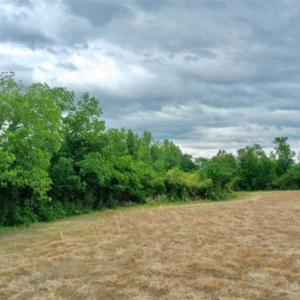 Photo of 29.15 Acres of Farm and Hunting Land for Sale in Columbus County NC!