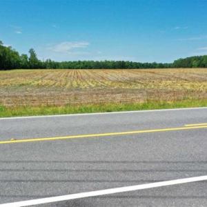 Photo of UNDER CONTRACT!!  50 Acres of Farm Land for Sale in Columbus County NC!