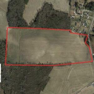 Photo of UNDER CONTRACT!!  50 Acres of Farm Land for Sale in Columbus County NC!