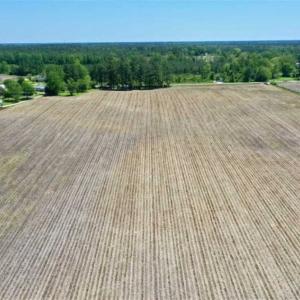 Photo of UNDER CONTRACT!!  50 Acres of Farm Land for Sale in Columbus County NC!