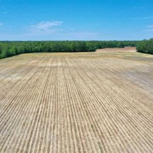 Photo of UNDER CONTRACT!!  50 Acres of Farm Land for Sale in Columbus County NC!