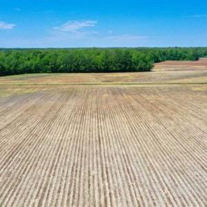 Photo of UNDER CONTRACT!!  50 Acres of Farm Land for Sale in Columbus County NC!