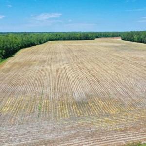 Photo of UNDER CONTRACT!!  50 Acres of Farm Land for Sale in Columbus County NC!