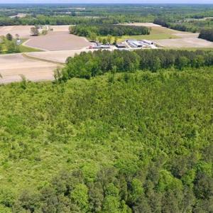Photo of SOLD!!  22.28 Acres of Hunting and Investment For Sale in Wilson County NC!