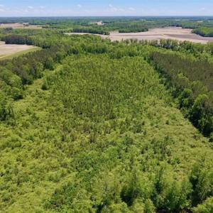 Photo of SOLD!!  22.28 Acres of Hunting and Investment For Sale in Wilson County NC!
