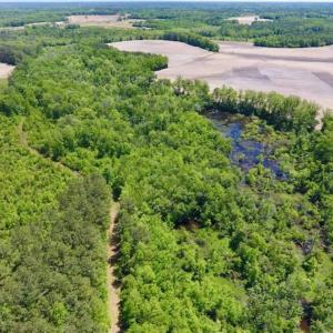 Photo of SOLD!!  22.28 Acres of Hunting and Investment For Sale in Wilson County NC!