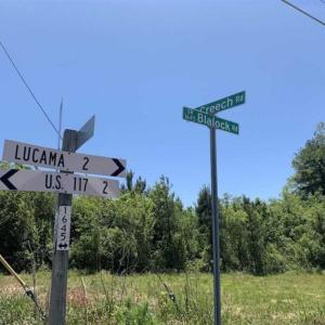 Photo of SOLD!!  22.28 Acres of Hunting and Investment For Sale in Wilson County NC!