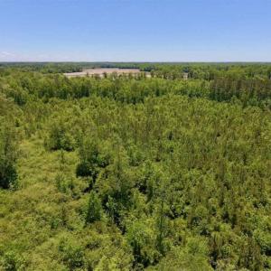 Photo of SOLD!!  22.28 Acres of Hunting and Investment For Sale in Wilson County NC!