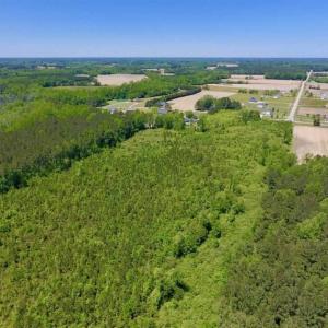 Photo of SOLD!!  22.28 Acres of Hunting and Investment For Sale in Wilson County NC!