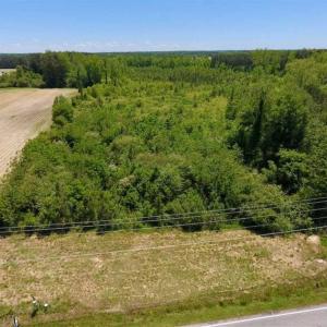 Photo of SOLD!!  22.28 Acres of Hunting and Investment For Sale in Wilson County NC!