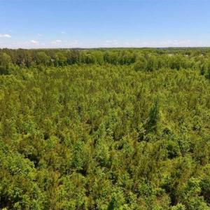 Photo of SOLD!!  22.28 Acres of Hunting and Investment For Sale in Wilson County NC!