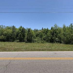 Photo of SOLD!!  22.28 Acres of Hunting and Investment For Sale in Wilson County NC!