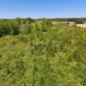 Photo of SOLD!!  22.28 Acres of Hunting and Investment For Sale in Wilson County NC!