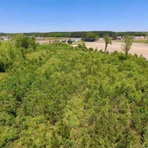 Photo of SOLD!!  22.28 Acres of Hunting and Investment For Sale in Wilson County NC!
