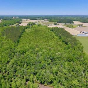 Photo of SOLD!!  22.28 Acres of Hunting and Investment For Sale in Wilson County NC!