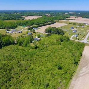 Photo of SOLD!!  22.28 Acres of Hunting and Investment For Sale in Wilson County NC!