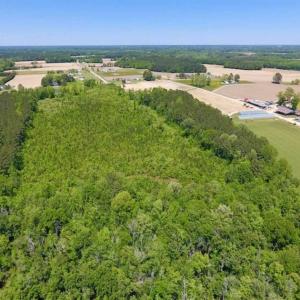 Photo of SOLD!!  22.28 Acres of Hunting and Investment For Sale in Wilson County NC!