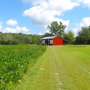 Photo of SOLD!!  9.5 Acres of Land with Custom Home For Sale in Suffolk VA!