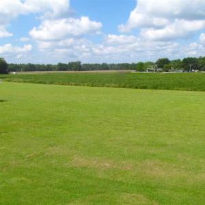 Photo of SOLD!!  9.5 Acres of Land with Custom Home For Sale in Suffolk VA!