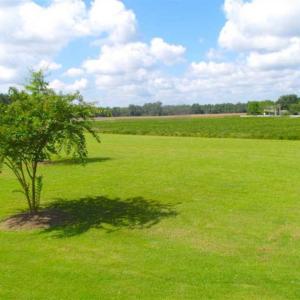 Photo of SOLD!!  9.5 Acres of Land with Custom Home For Sale in Suffolk VA!