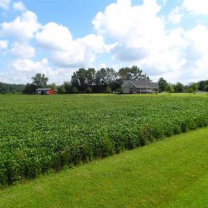 Photo of SOLD!!  9.5 Acres of Land with Custom Home For Sale in Suffolk VA!
