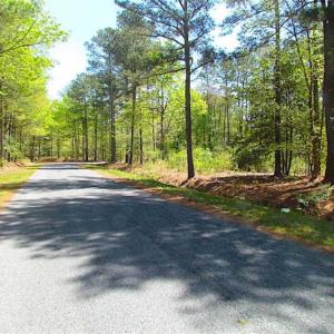 Photo of 0.9 Acre Commercial Lot For Sale in Accomack County VA!