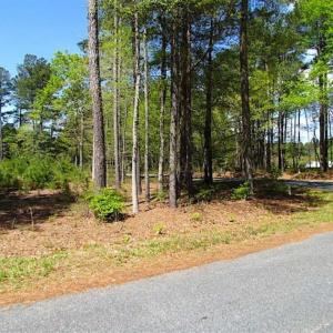 Photo of 0.9 Acre Commercial Lot For Sale in Accomack County VA!