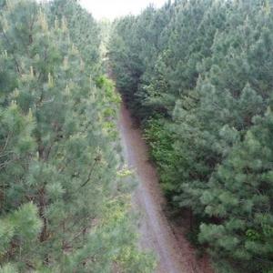 Photo of UNDER CONTRACT!!  17.95 Acres of Residential Land for Sale in Caroline Co VA