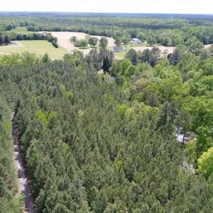 Photo of UNDER CONTRACT!!  17.95 Acres of Residential Land for Sale in Caroline Co VA