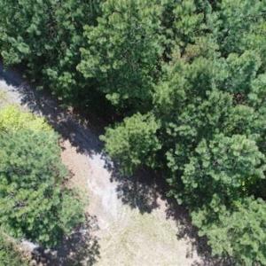 Photo of UNDER CONTRACT!!  17.95 Acres of Residential Land for Sale in Caroline Co VA