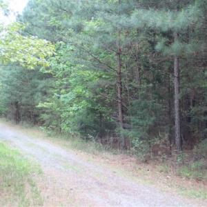 Photo of UNDER CONTRACT!!  17.95 Acres of Residential Land for Sale in Caroline Co VA