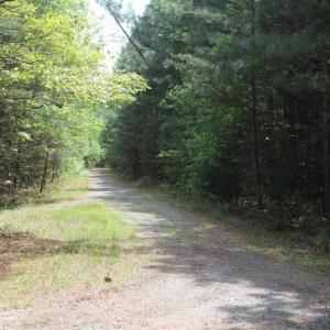 Photo of UNDER CONTRACT!!  17.95 Acres of Residential Land for Sale in Caroline Co VA