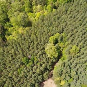 Photo of UNDER CONTRACT!!  17.95 Acres of Residential Land for Sale in Caroline Co VA