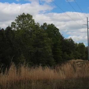 Photo of UNDER CONTRACT!!  17.95 Acres of Residential Land for Sale in Caroline Co VA