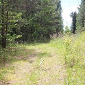 Photo of UNDER CONTRACT!!  17.95 Acres of Residential Land for Sale in Caroline Co VA