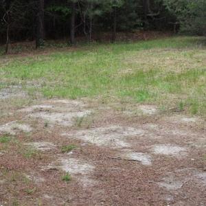 Photo of UNDER CONTRACT!!  17.95 Acres of Residential Land for Sale in Caroline Co VA