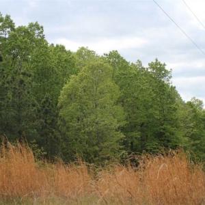 Photo of UNDER CONTRACT!!  17.95 Acres of Residential Land for Sale in Caroline Co VA