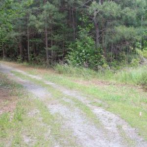 Photo of UNDER CONTRACT!!  17.95 Acres of Residential Land for Sale in Caroline Co VA