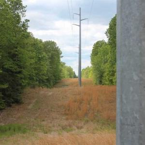 Photo of UNDER CONTRACT!!  17.95 Acres of Residential Land for Sale in Caroline Co VA
