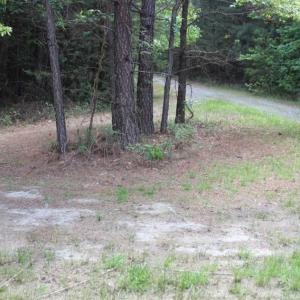 Photo of UNDER CONTRACT!!  17.95 Acres of Residential Land for Sale in Caroline Co VA
