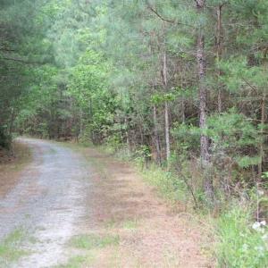 Photo of UNDER CONTRACT!!  17.95 Acres of Residential Land for Sale in Caroline Co VA